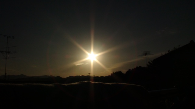 太陽