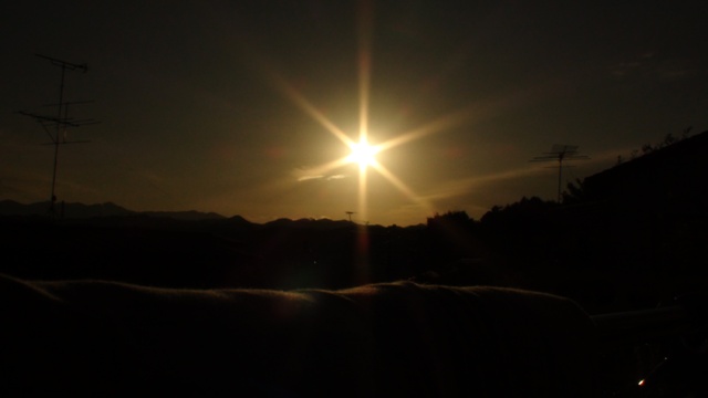 太陽