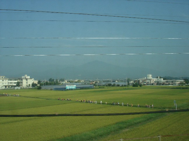 田んぼの中を登校する小学生