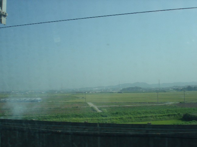 広がる穀倉地帯