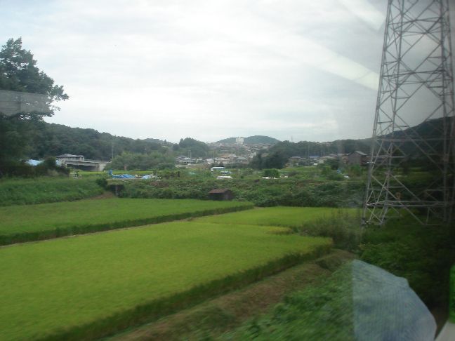 広がる穀倉地帯