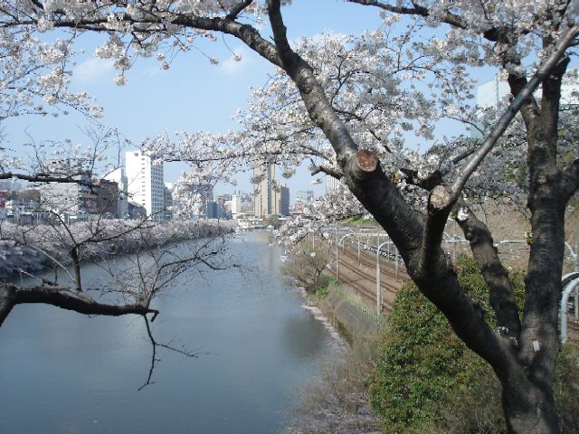 新見附橋