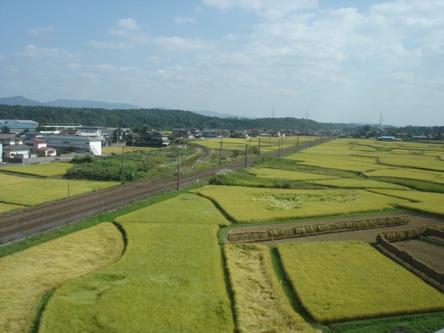 福島県中通り 穀倉地帯