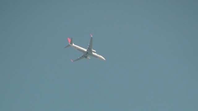 JAL Boeing 737
