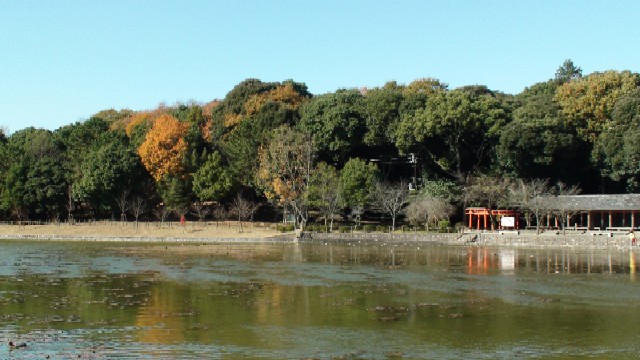 深田池の風景
