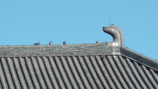 金堂