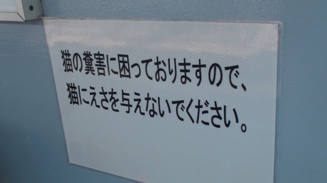 Lɂ^Ȃł